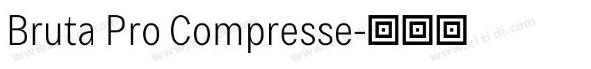 Bruta Pro Compresse字体转换